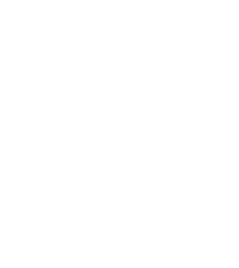 MEIA