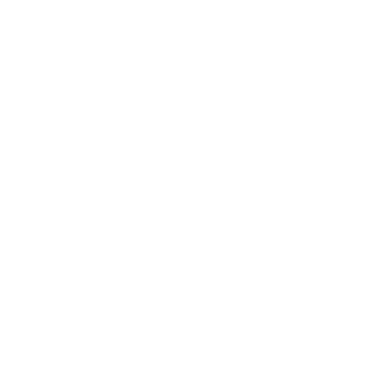 MEIA